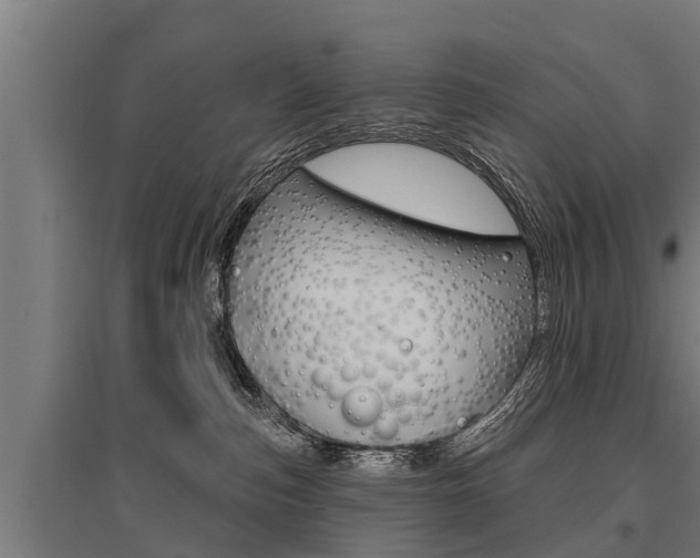 X0000096130187200801180837