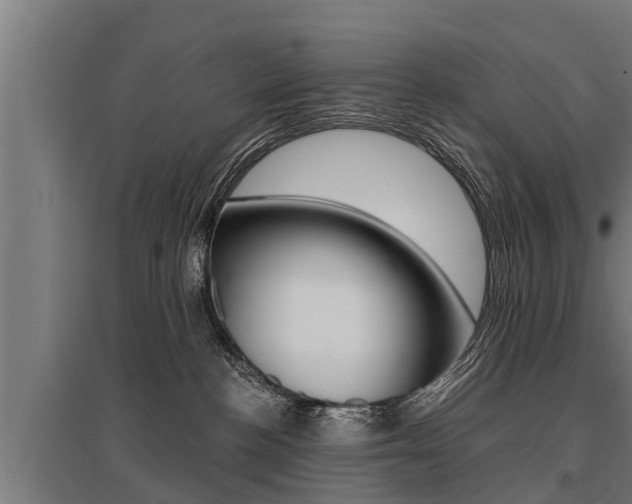 X0000096130188200801180837