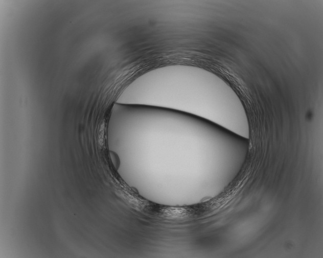 X0000096130189200801180837