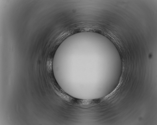 X0000096130191200801180837