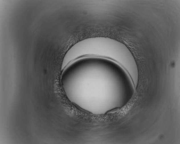 X0000096130192200801180837