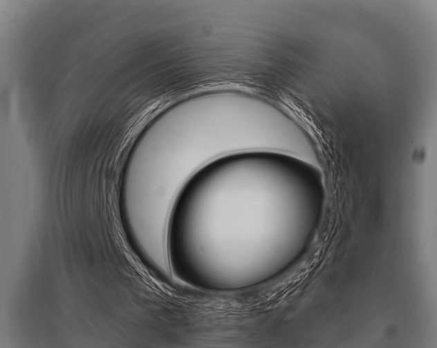 X0000096130193200801180837