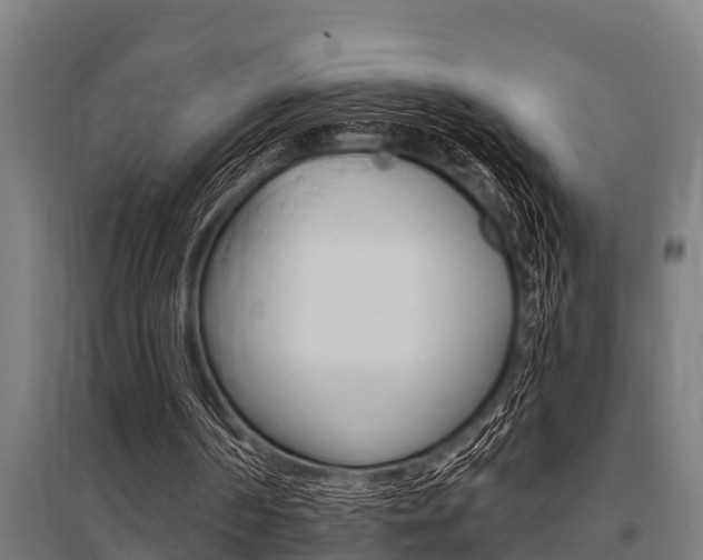 X0000096130194200801180837
