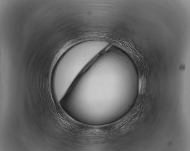 X0000096130195200801180837