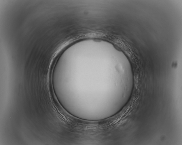 X0000096130196200801180837