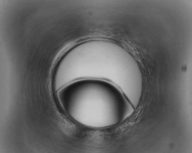 X0000096130197200801180837