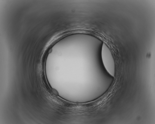 X0000096130198200801180837