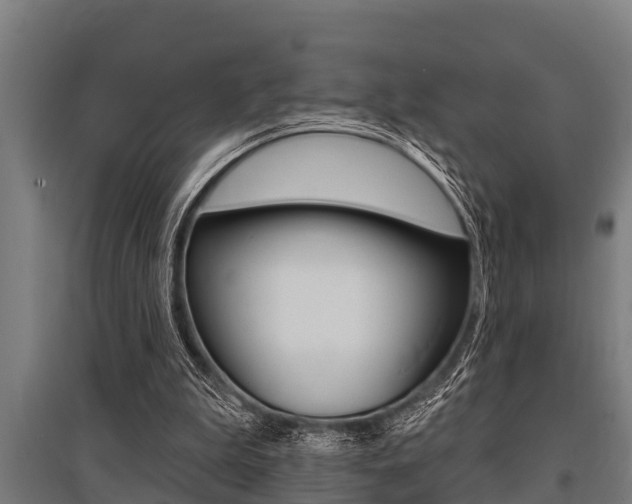 X0000096130199200801180837