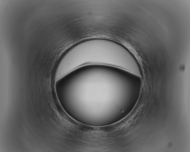 X0000096130201200801180837