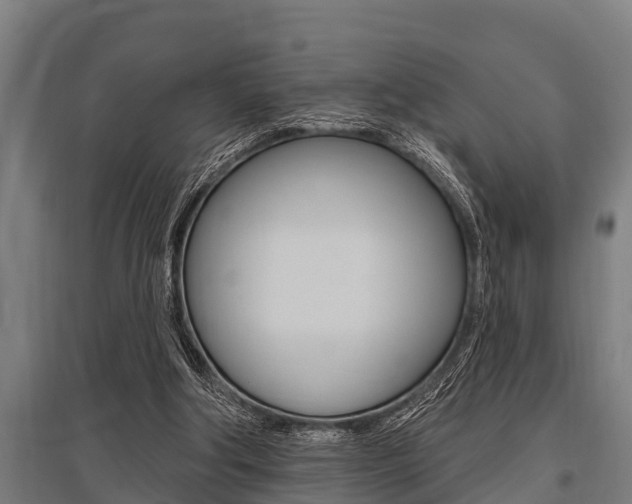 X0000096130202200801180837