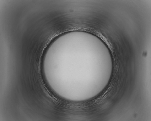 X0000096130203200801180837