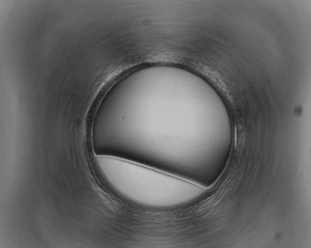 X0000096130204200801180837