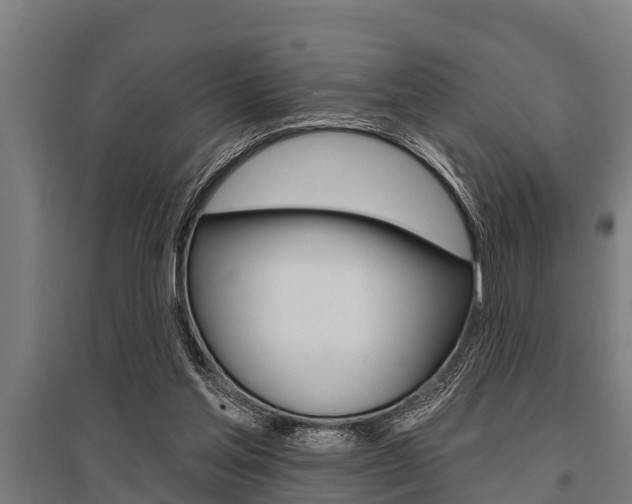 X0000096130205200801180837