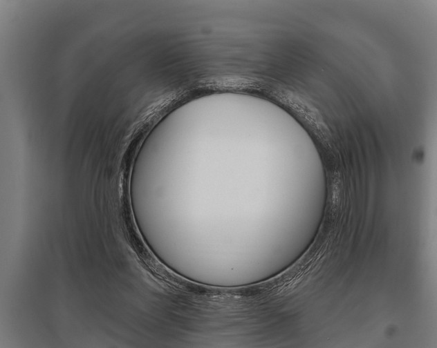 X0000096130206200801180837