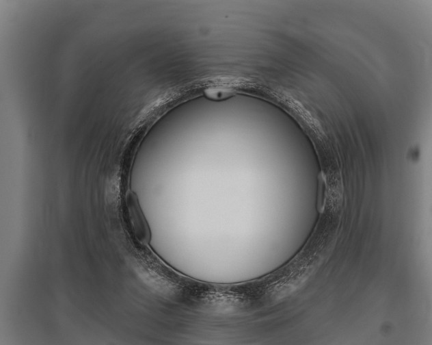 X0000096130207200801180837