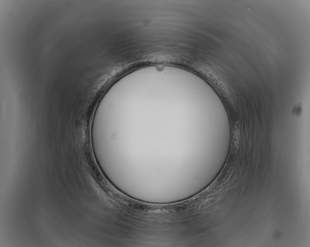 X0000096130208200801180837