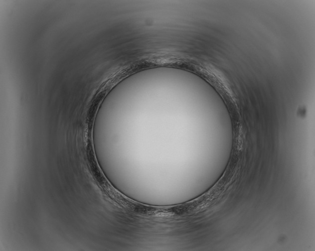 X0000096130210200801180837