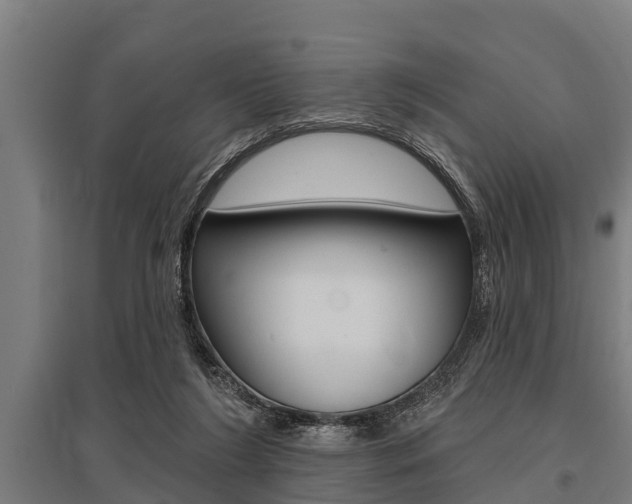 X0000096130212200801180837
