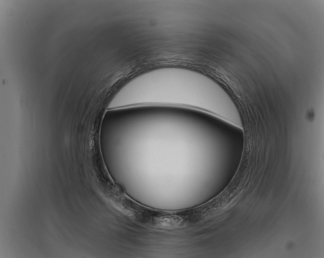 X0000096130215200801180836