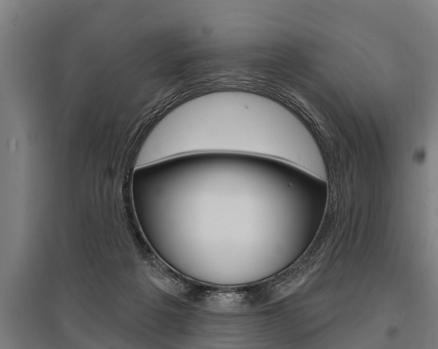 X0000096130217200801180836