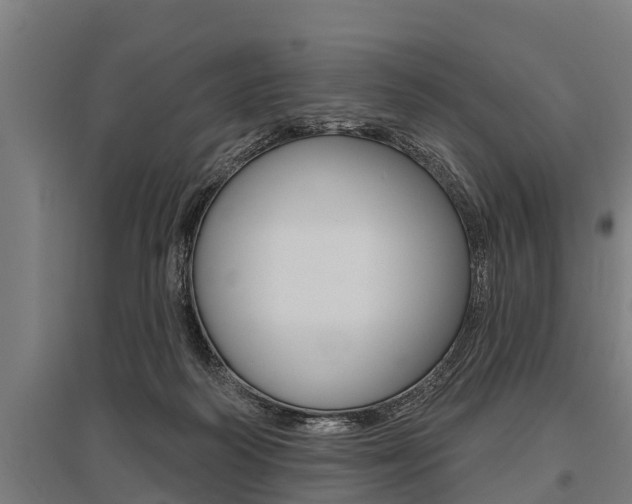 X0000096130218200801180836