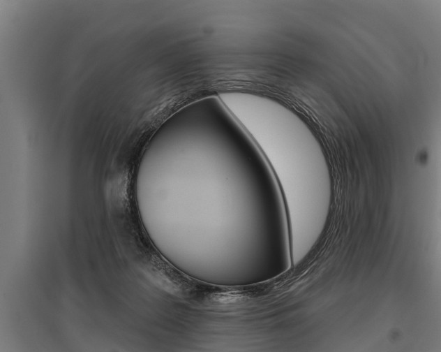 X0000096130219200801180836