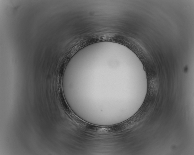 X0000096130222200801180836