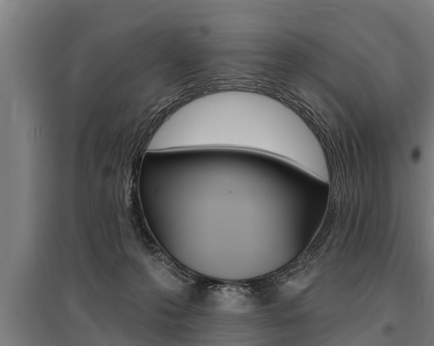 X0000096130223200801180836