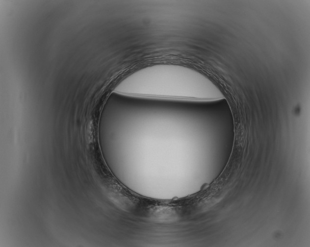 X0000096130224200801180836