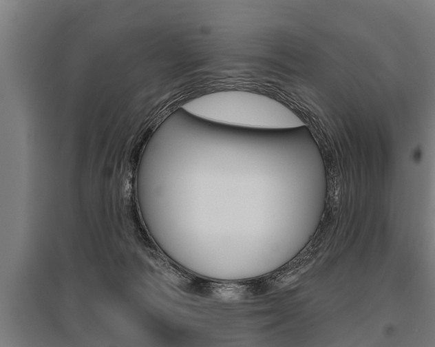 X0000096130226200801180836