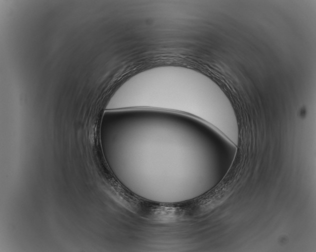X0000096130227200801180836