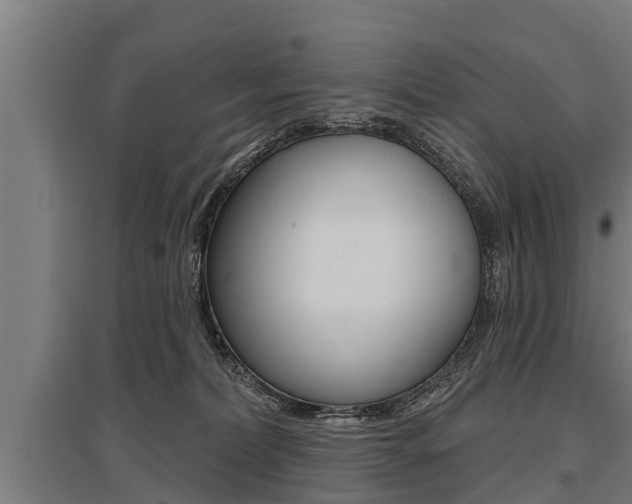 X0000096130228200801180836