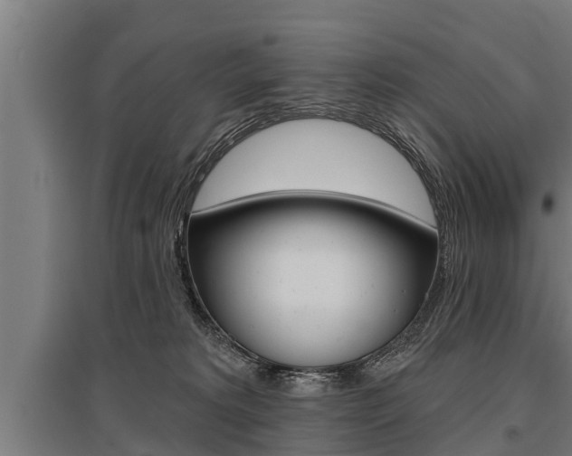 X0000096130229200801180836