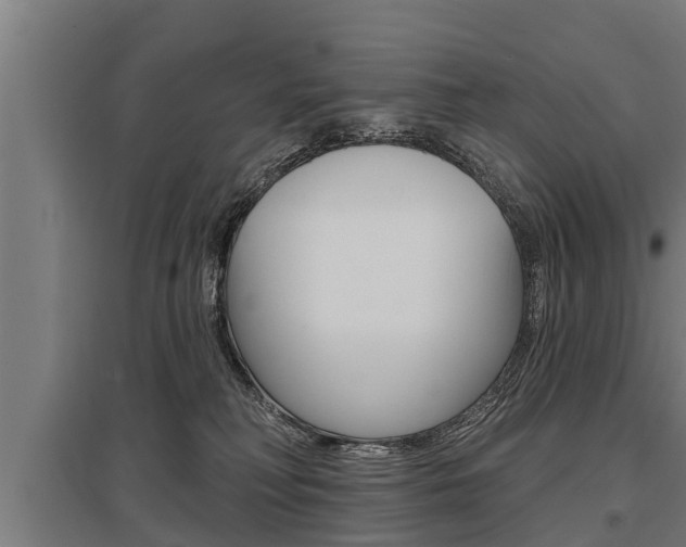 X0000096130230200801180836