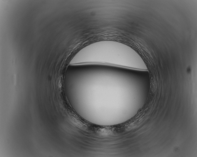 X0000096130232200801180836