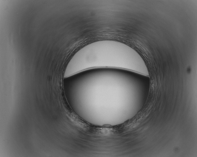 X0000096130233200801180836