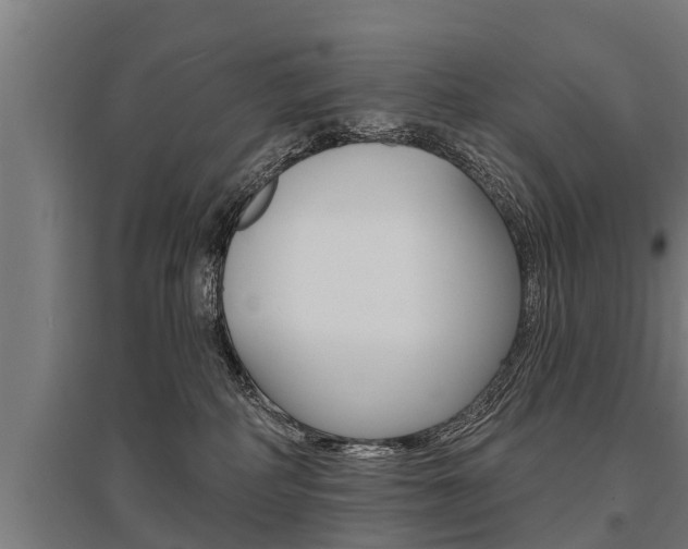 X0000096130234200801180836