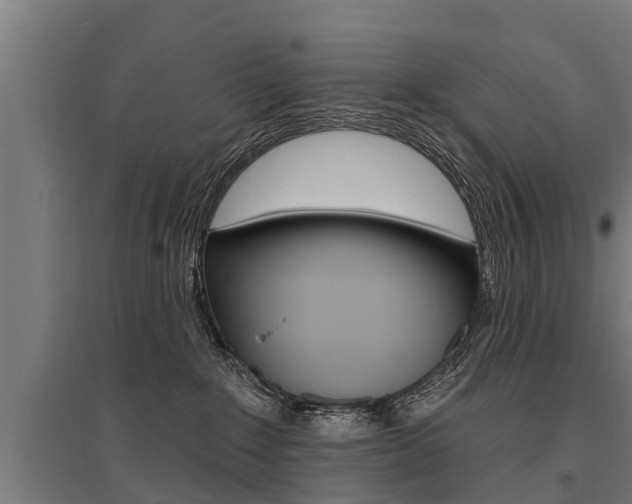 X0000096130235200801180836