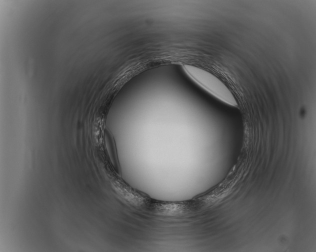 X0000096130237200801180836