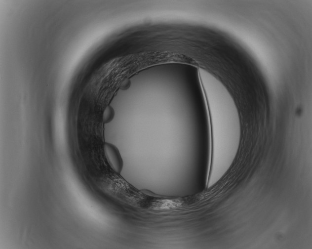 X0000096130239200801180836