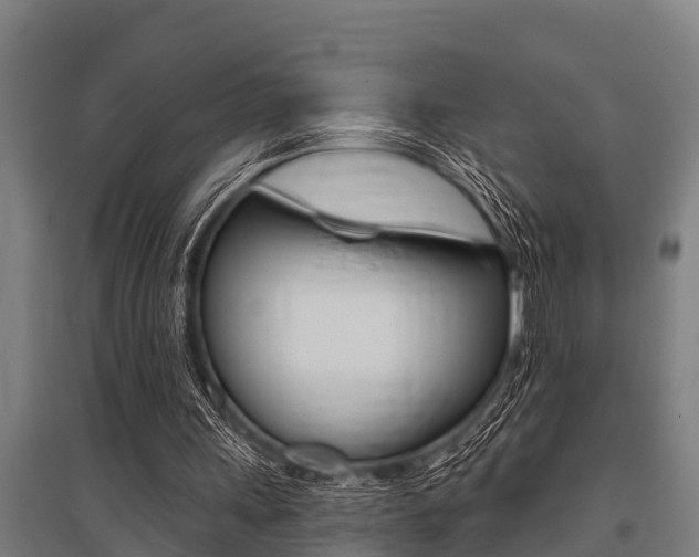 X0000096130243200801180835