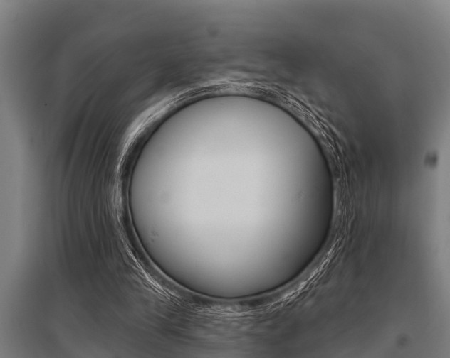 X0000096130245200801180835