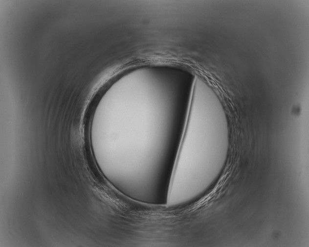 X0000096130246200801180835