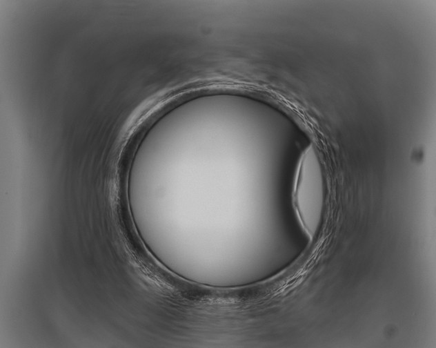 X0000096130247200801180835