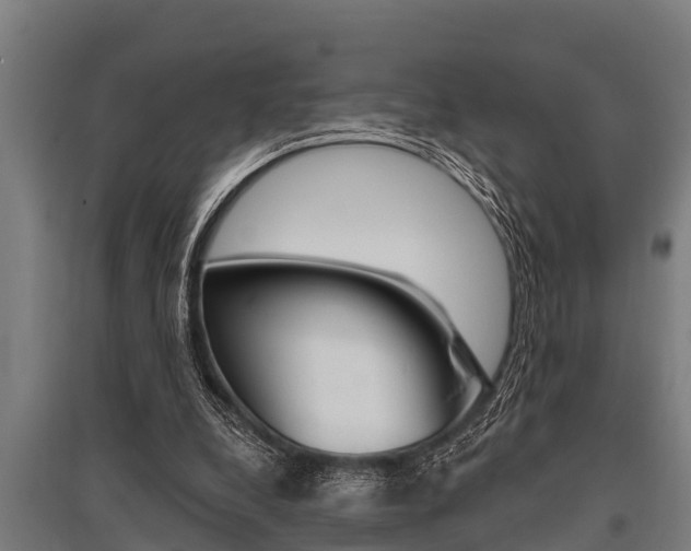 X0000096130248200801180835