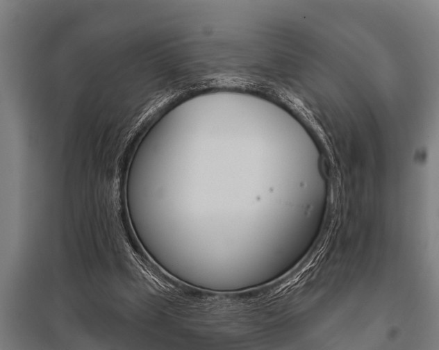 X0000096130249200801180835