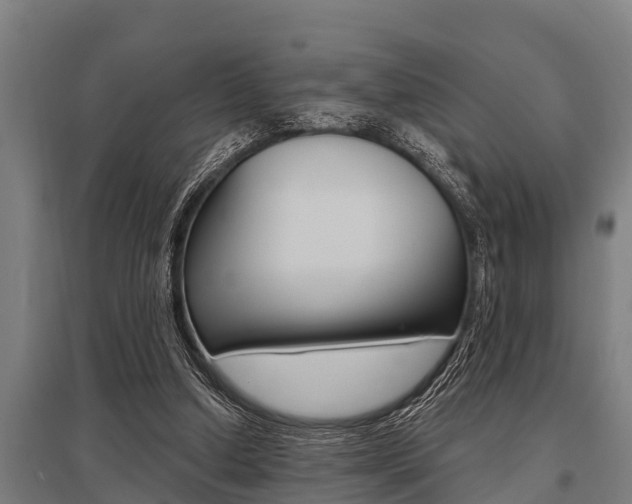 X0000096130250200801180835