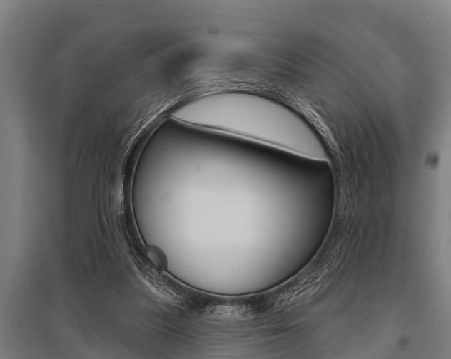 X0000096130251200801180835