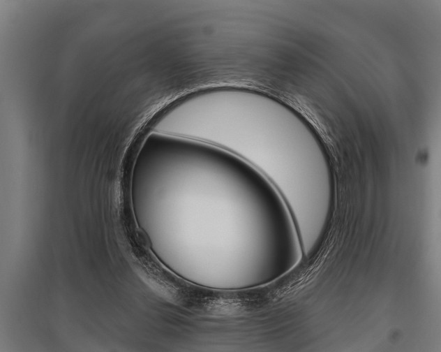 X0000096130252200801180835