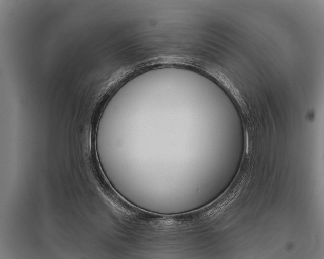 X0000096130253200801180836